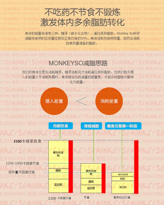 燃脂能量棒是1对1服务吗？核心减脂原理是什么?