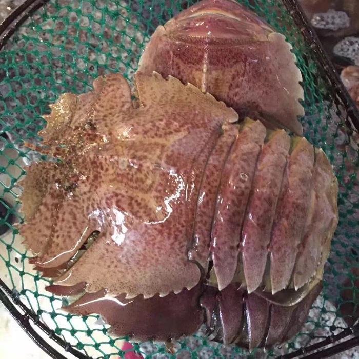 渔果生鲜，所有海鲜码头直供 当天捕捞生鲜 诚招代理
