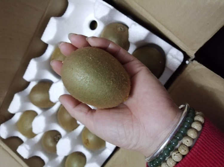 水果代理免费加盟 原生态助农水果