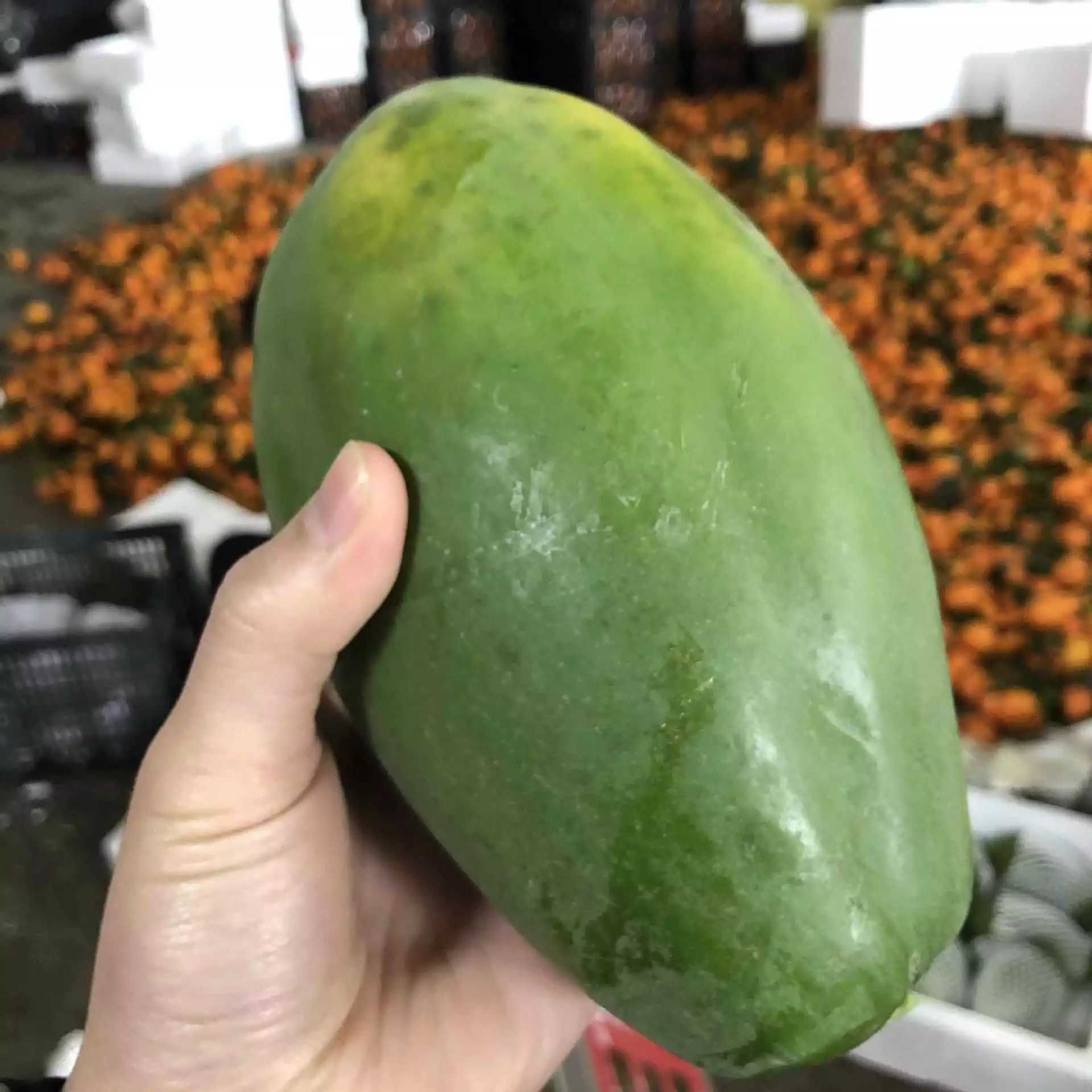 精品水果，一件代发，产地直供