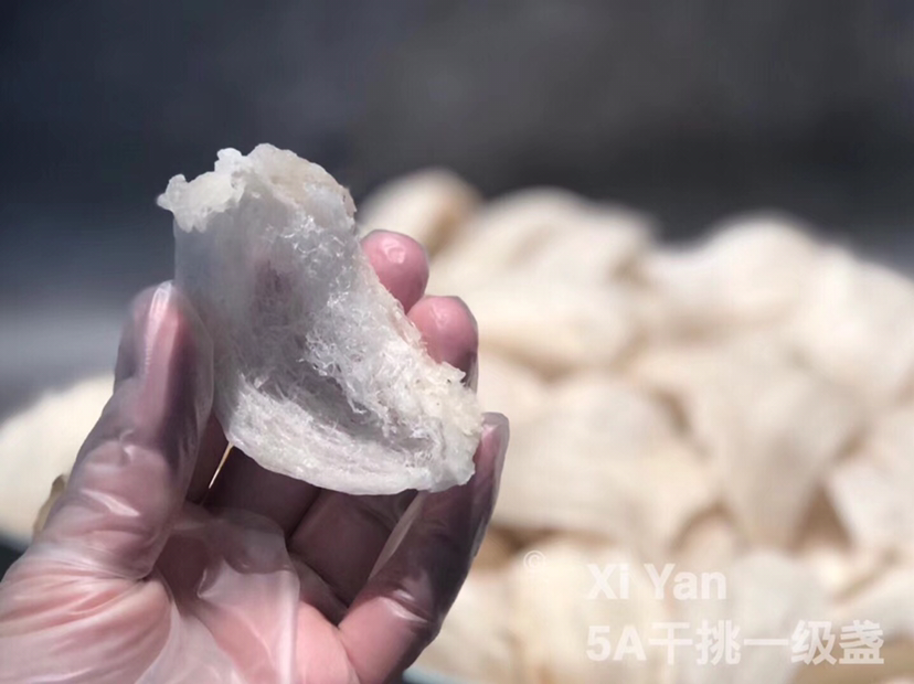 马来西亚纯天然燕窝 工厂直供 批发兼零售