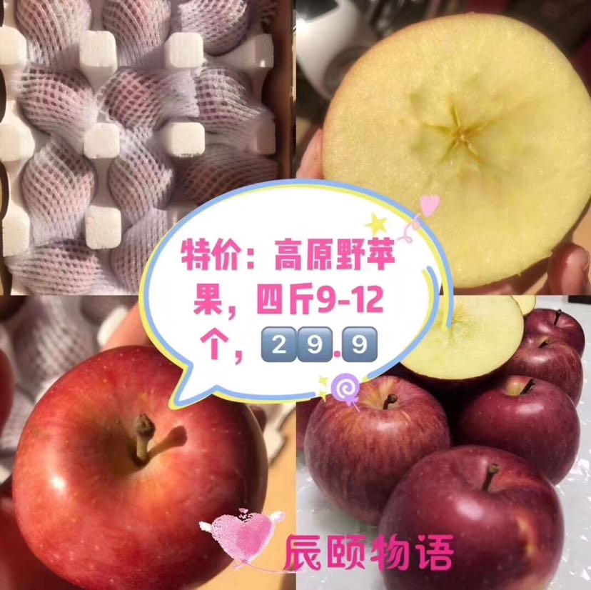 应季水果货源 果园直发 坏果烂果 我们包赔