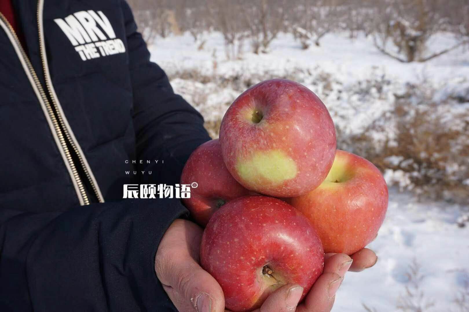 高原野苹果 喜欢吃水果的宝宝看过来