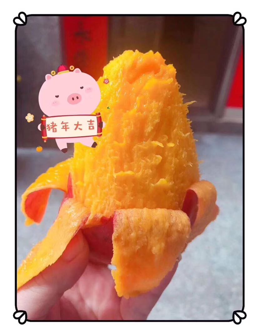 海清农家水果 果园现摘 一次投资 终身收益