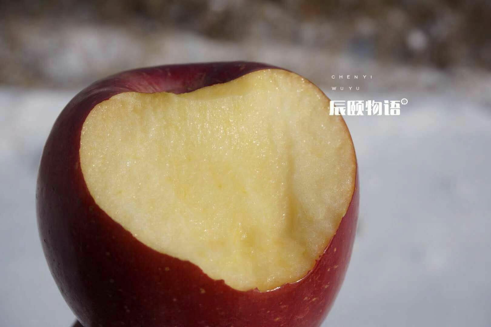 高原野苹果 喜欢吃水果的宝宝看过来