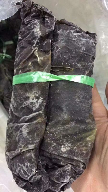 南澳海珍品海带干 可代发 可代理