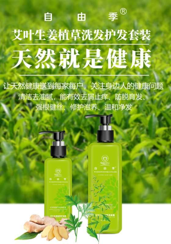 艾叶生姜植草 洗发护发 防脱育发 诚招代理