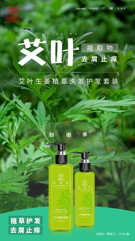 艾叶生姜植草 洗发护发 防脱育发 诚招代理
