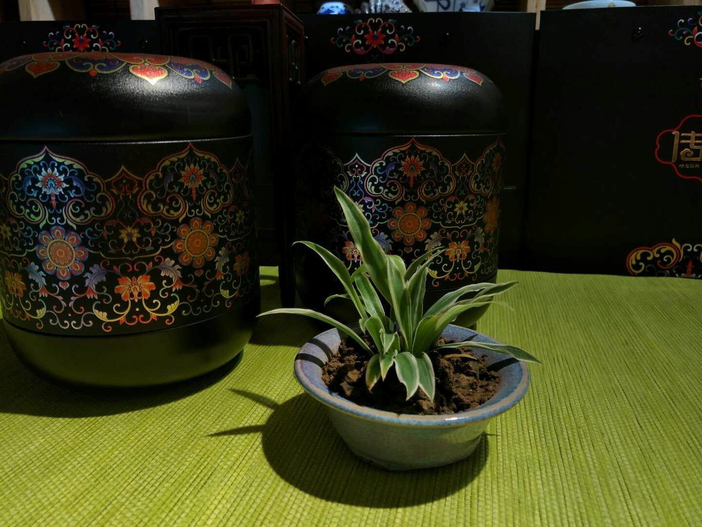福建安溪铁观音 名茶招代理 一件代发