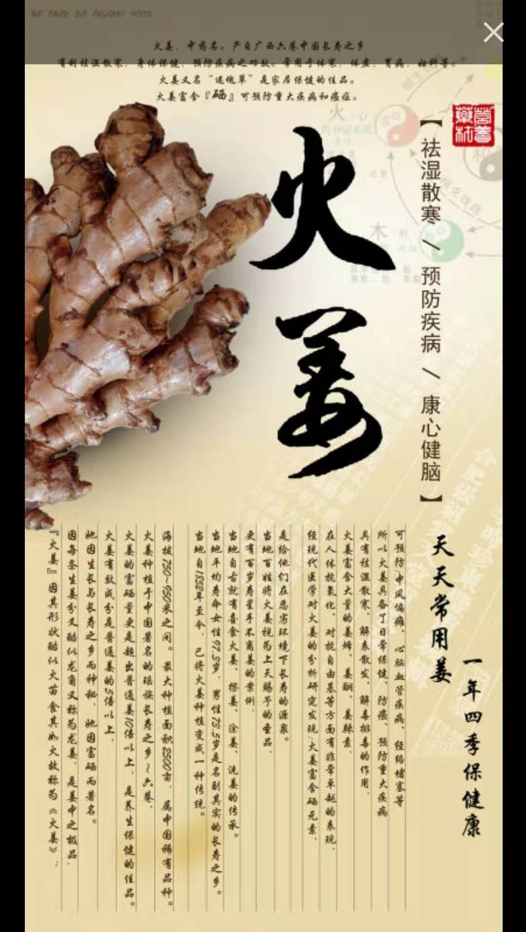 佰嘎俪格生姜洗护