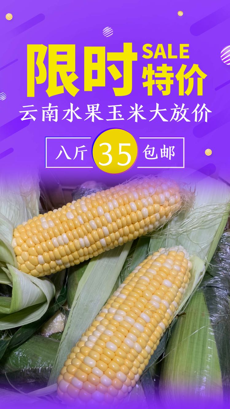 水果玉米8斤35包邮