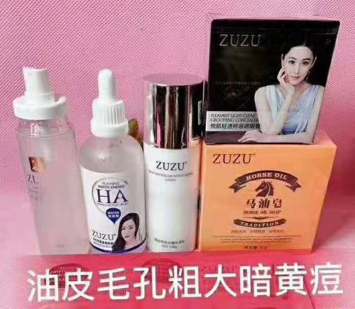 ZUZU系列招代理一对一教，月入过万