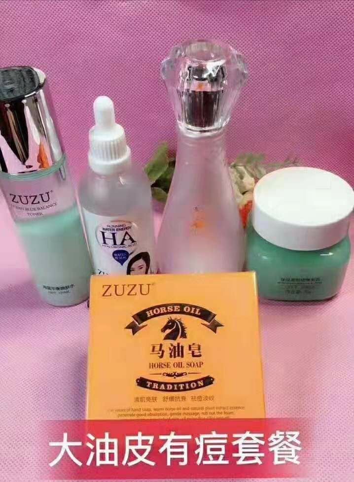 ZUZU系列招代理一对一教，月入过万