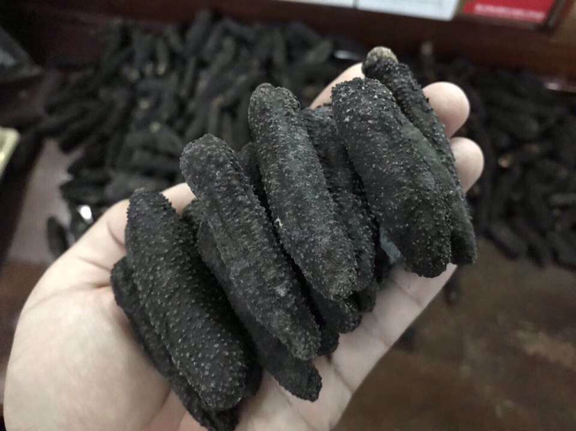 进口澳洲海参