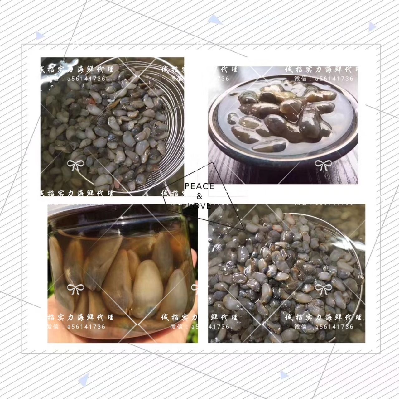 舟山海产品直销 多种海鲜 诚招实力美食代理