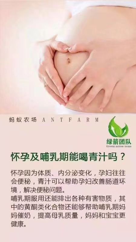 蚂蚁农场大麦若叶青汁，纯天然，无添加