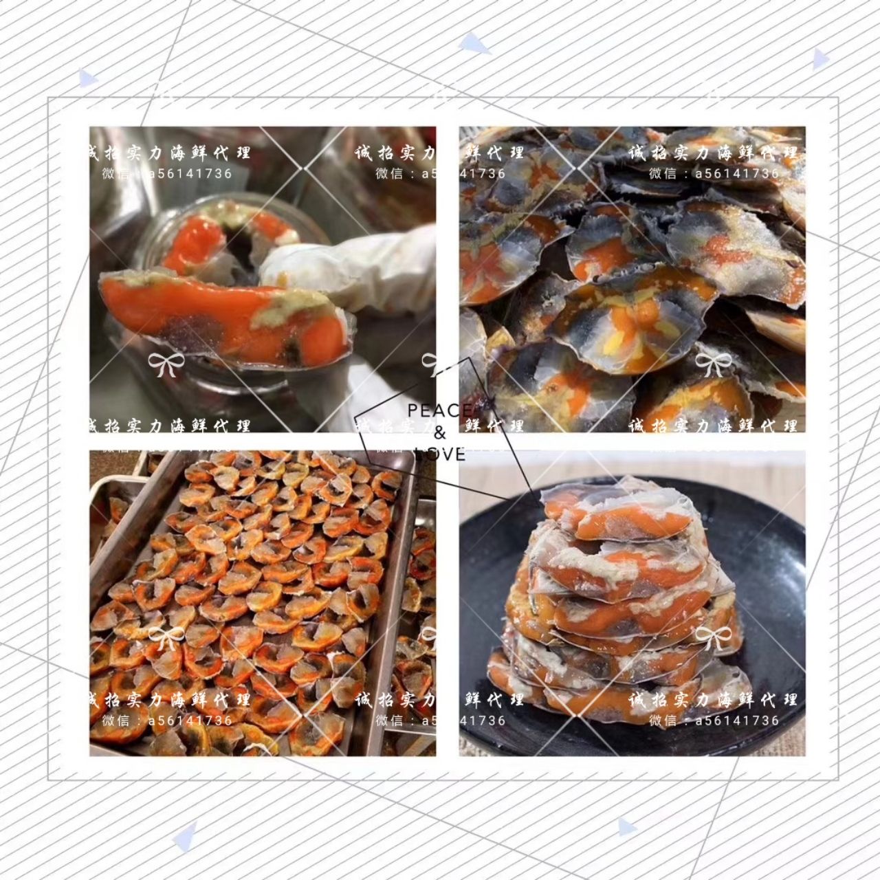 舟山海产品直销 多种海鲜 诚招实力美食代理