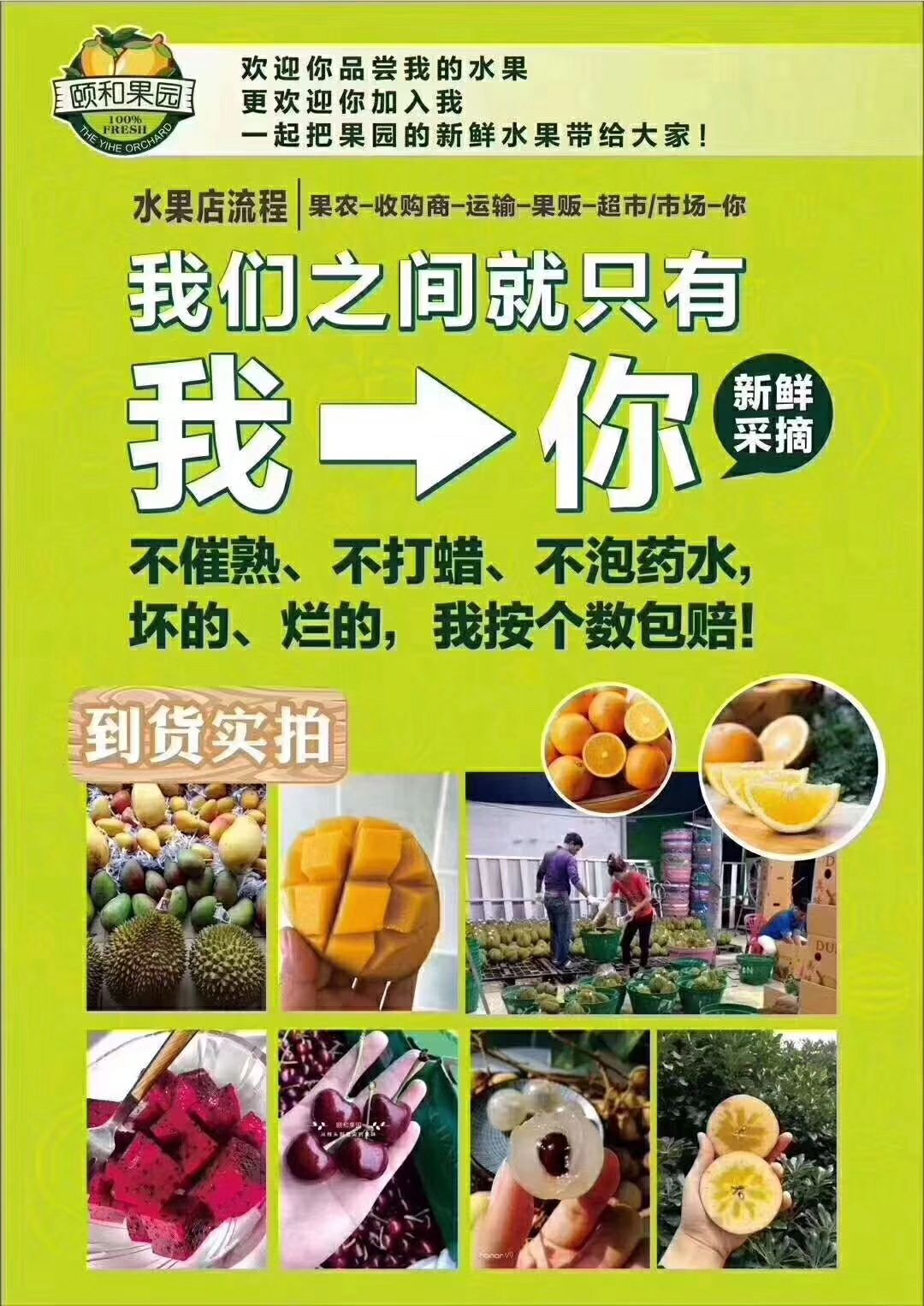 颐和果园，原生态的果园，所有水果产地直发