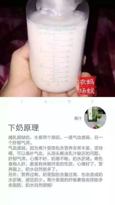 蚂蚁农场大麦若叶青汁，纯天然，无添加