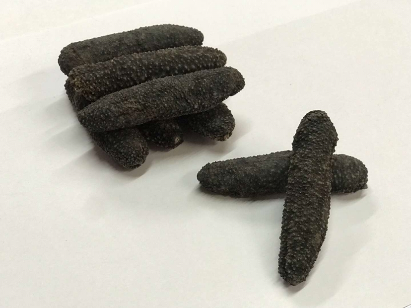 进口澳洲海参