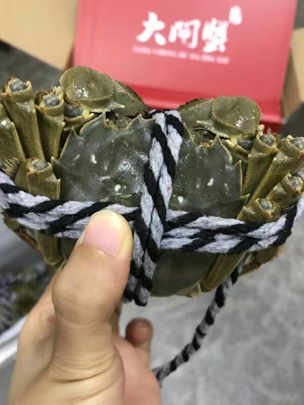 各类网红小吃招零加盟代理，不囤货，完美售后