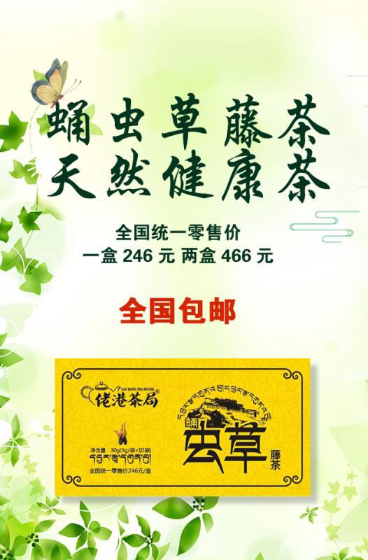 蛹虫草藤茶调理身体机能，可以起到养胃降血压的功效