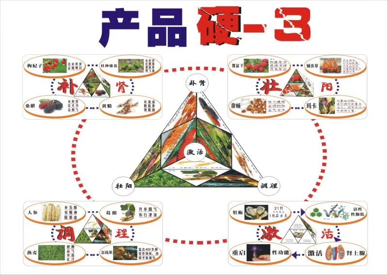 晶立方蓝牡蛎 招保健品代理厂家直销