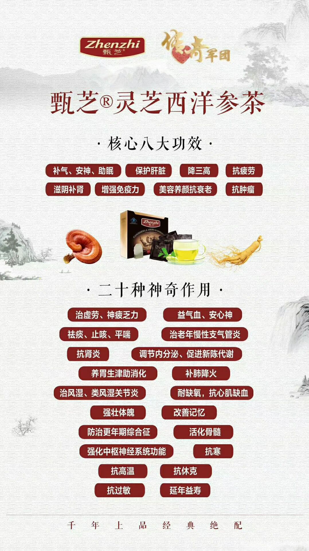 甄芝灵芝西洋参茶，二者互补滋补而不燥，生津而不腻