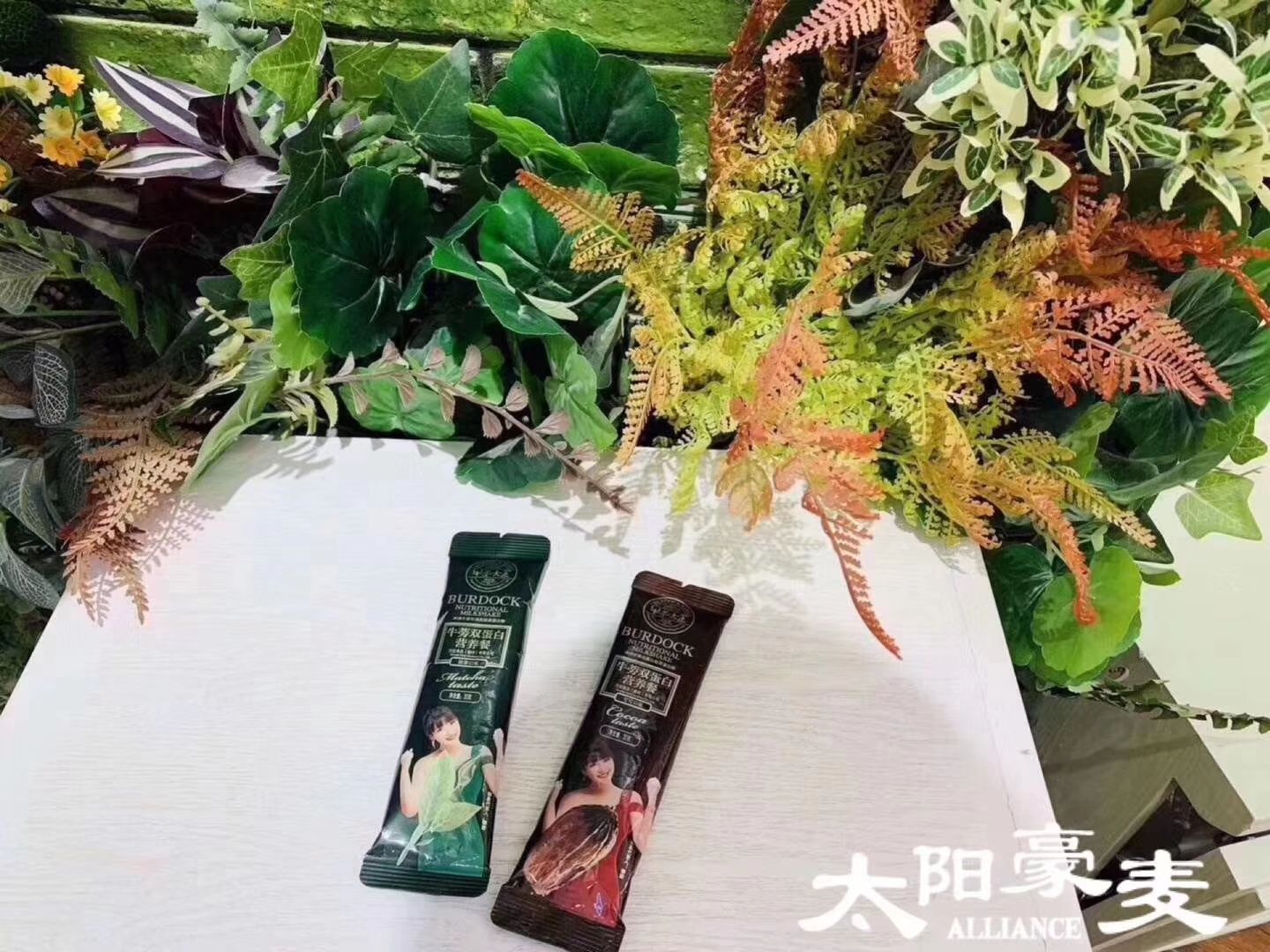 牛蒡双蛋白营养餐，喝出好身材