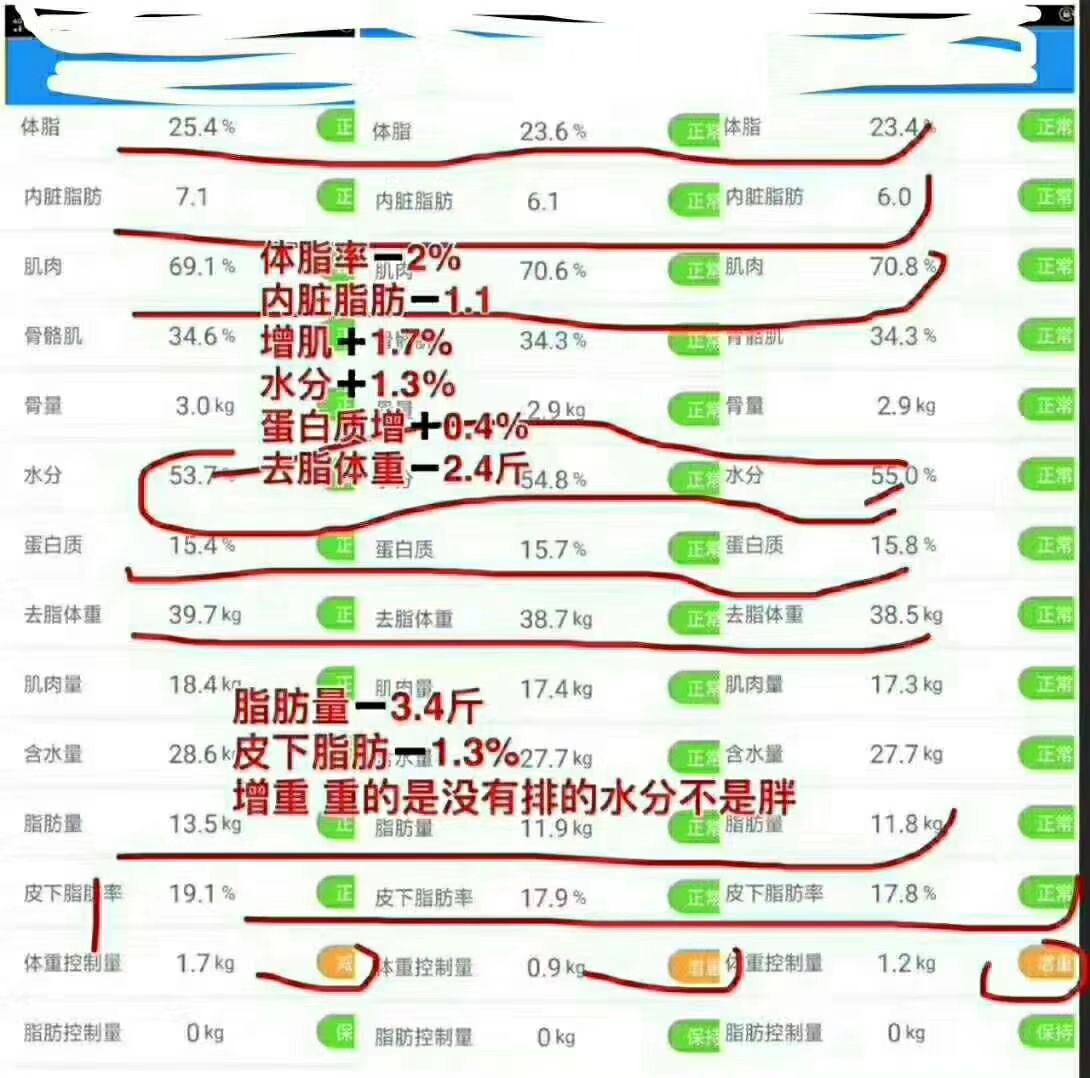 排油丸 减肥时代3.0 不忌口 不反弹