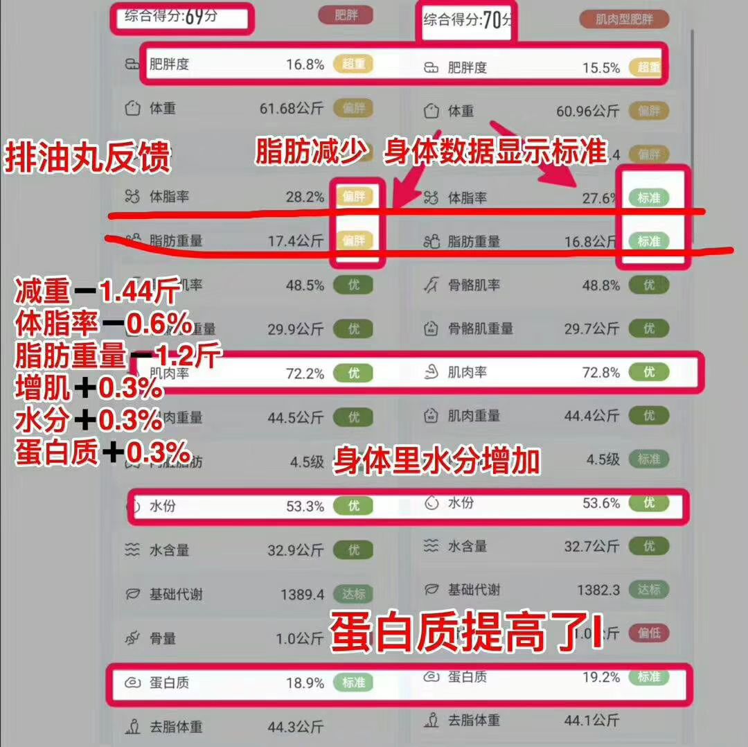 排油丸 减肥时代3.0 不忌口 不反弹