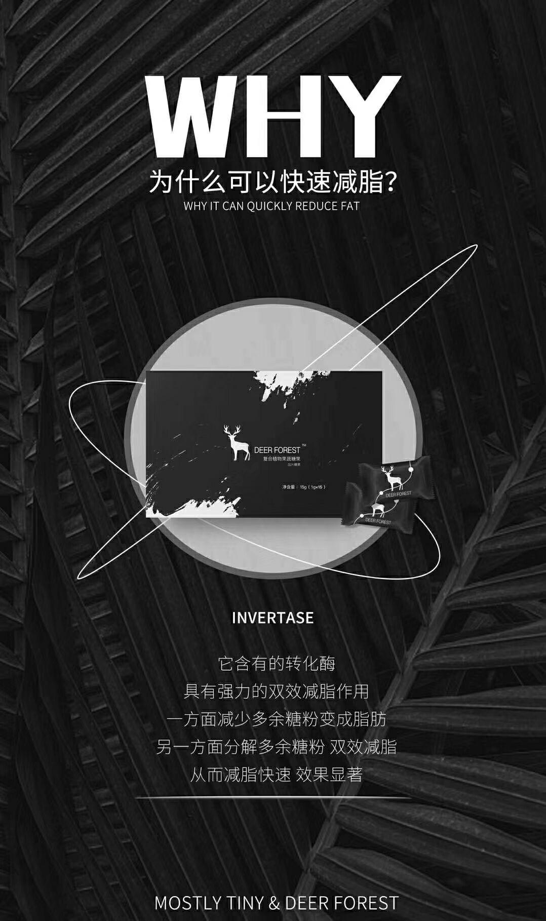 mos减肥产品 轻松瘦 千万太平洋保险 保驾护航