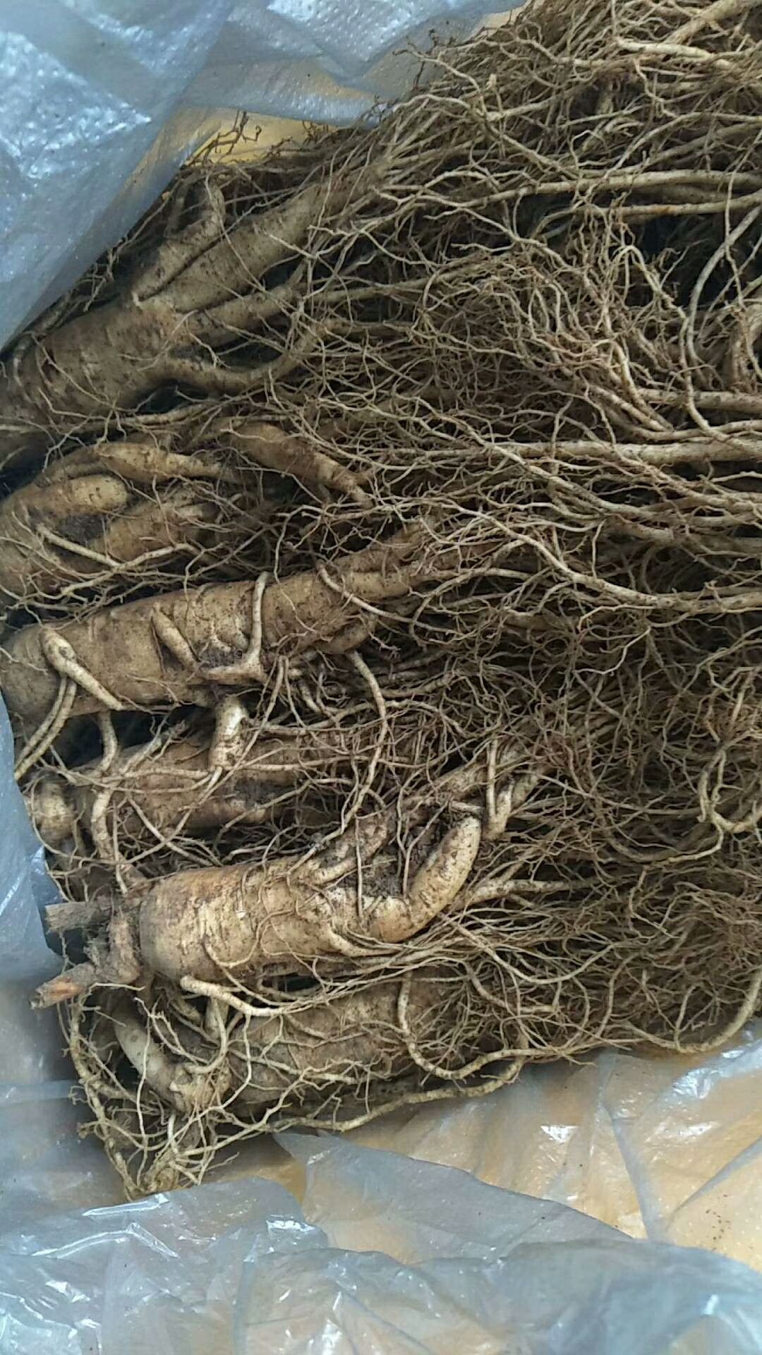 各种参和山货都有，价格质量都杠杠的！想了解的来！