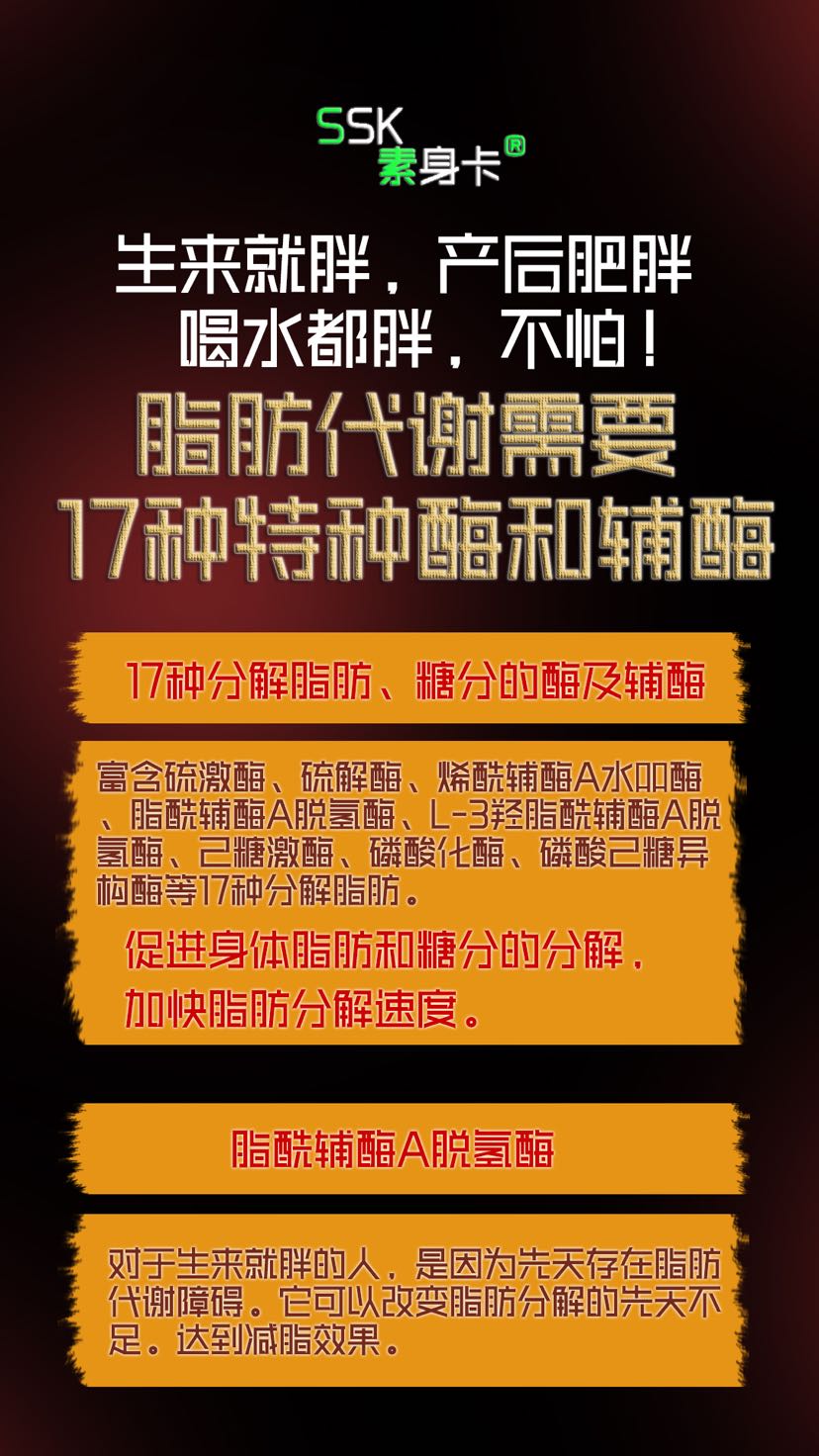 美式健康科学减脂代餐棒