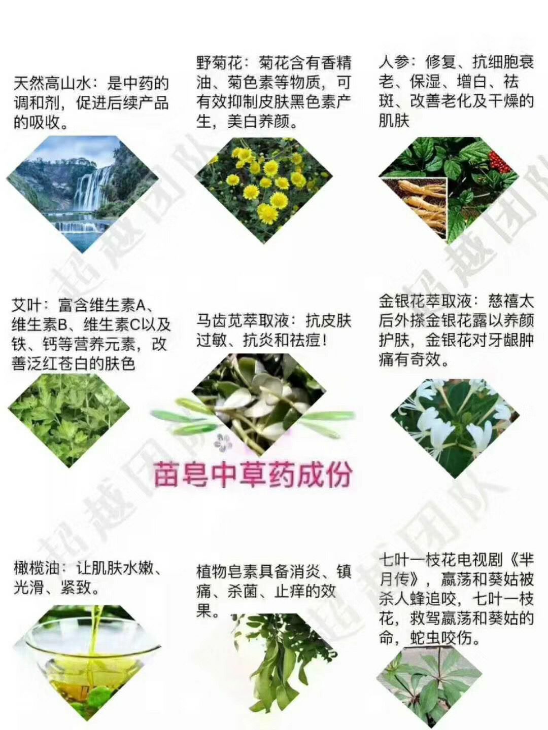 香港千资  古方苗皂（一款纯中草药多功效苗皂） 诚招代理