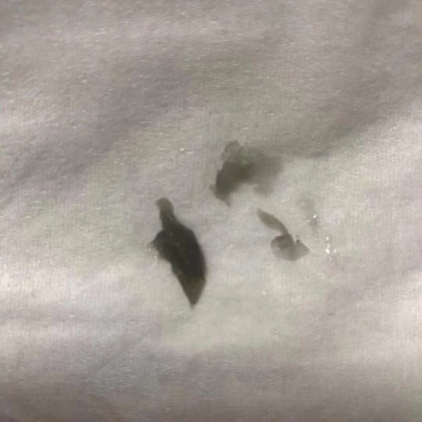 玛丽博士免费体验罐肤