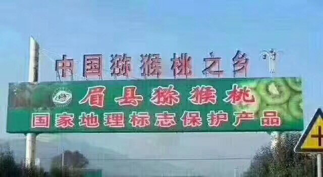 眉县猕猴桃 招代理加盟