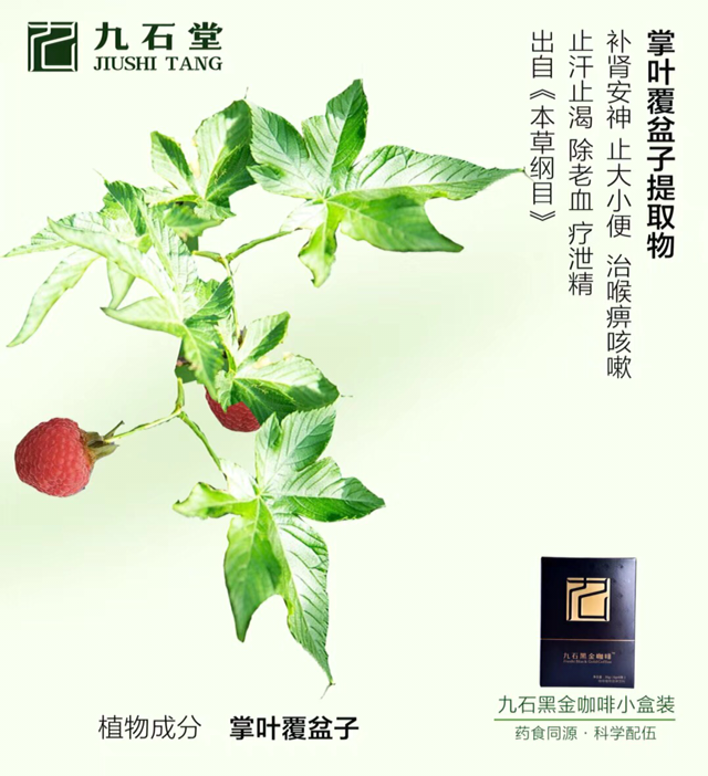 九石堂黑金咖啡全国火热招代理，开启你的财富大门