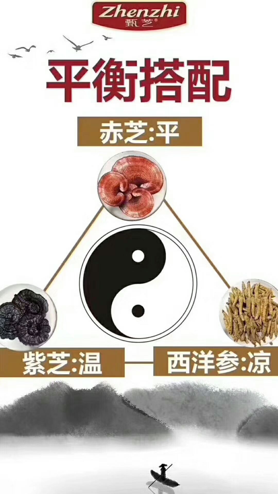 甄芝灵芝西洋参茶，二者互补滋补而不燥，生津而不腻
