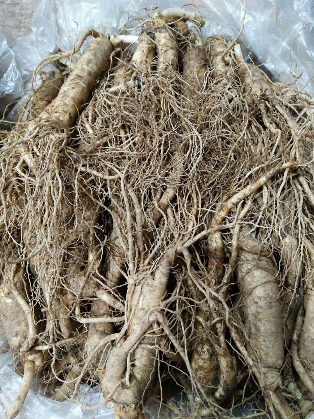 各种参和山货都有，价格质量都杠杠的！想了解的来！
