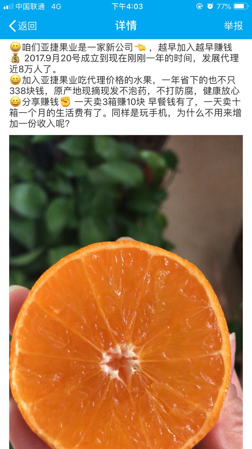 新鲜水果现摘现发招代理 绝对天然无添加