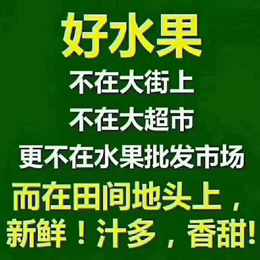 原产地现摘现发水果 果园直发 招代理加盟