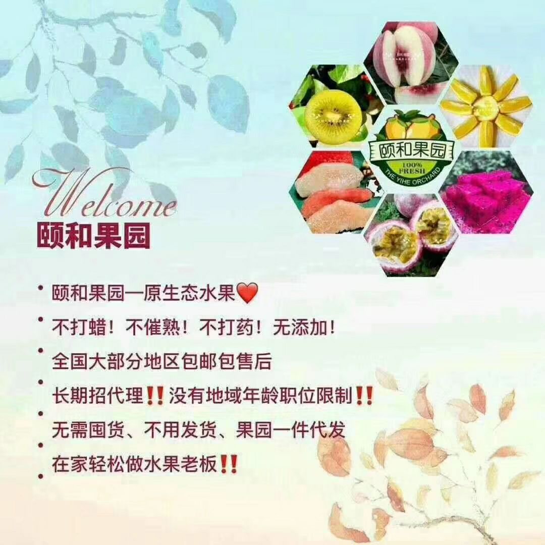 颐和果园招代理 现摘直发 现摘直发 坏果包赔