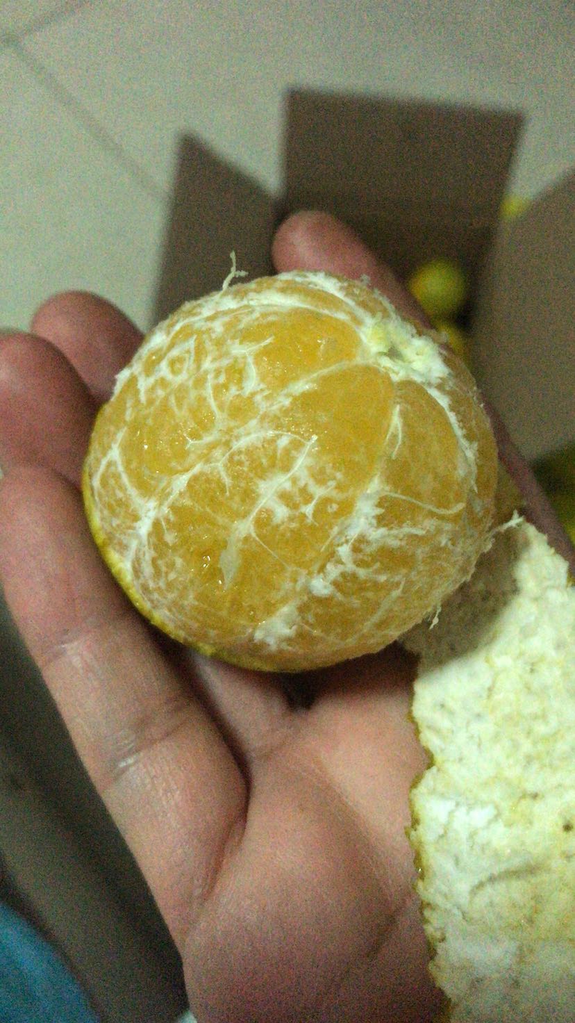 原产地现摘现发水果 果园直发 招代理加盟