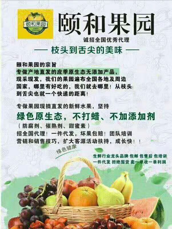 颐和果园招代理 现摘直发 现摘直发 坏果包赔