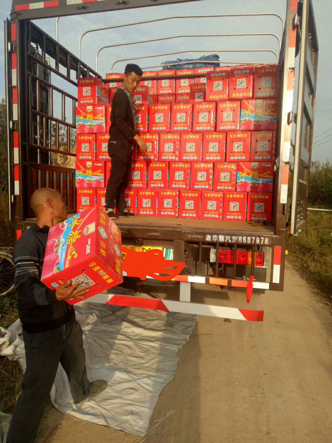 冰糖心苹果团购批发 超好吃超优惠