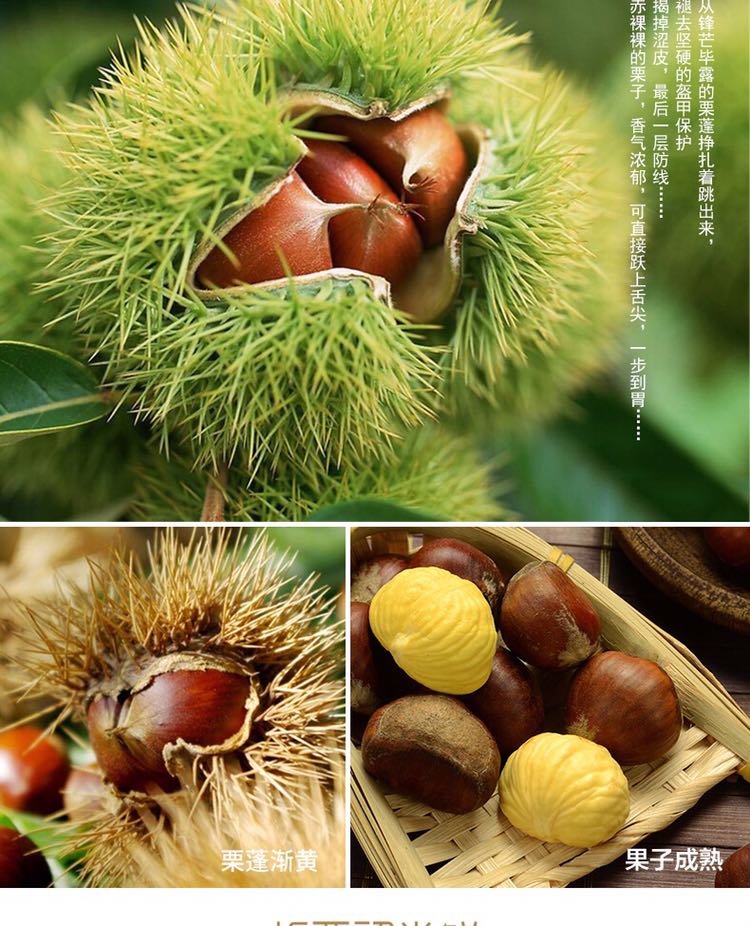 李自板栗货源 休闲零食0元代理 品牌销售