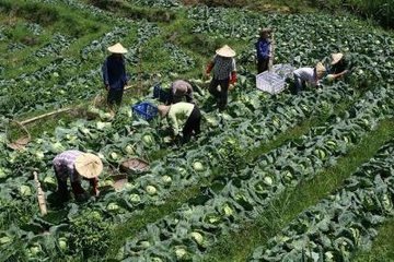 开水果店如何选址