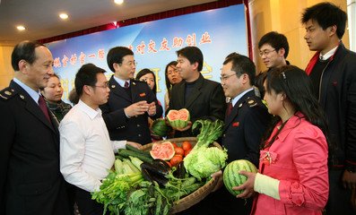 农村创业干啥好