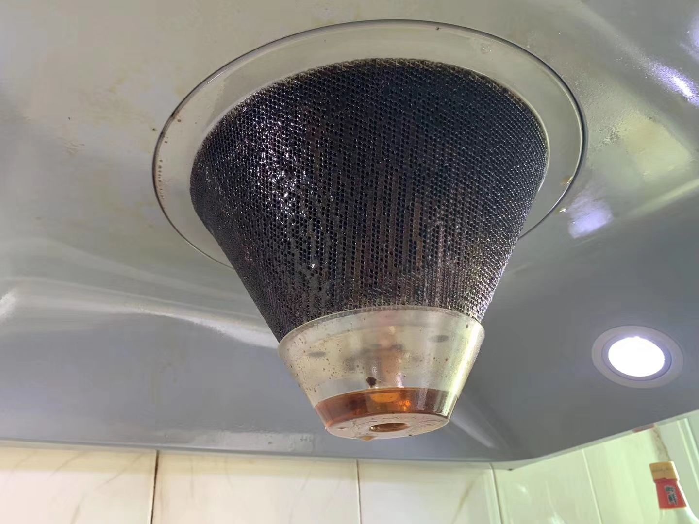 海豚泡泡活氧酵素洗衣颗粒 招代理加盟